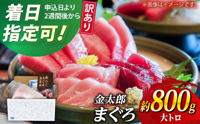 【訳あり】 金太郎 マグロ 冷凍 大トロ 約800g 【徳丸】 [RAC030]