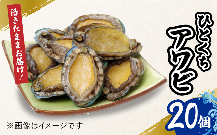【小ぶりで料理に使いやすい！】 上五島産 養殖 ひとくち アワビ 厳選 20個 鮮魚 魚介類 【豊建設株式会社】 [RAE001]