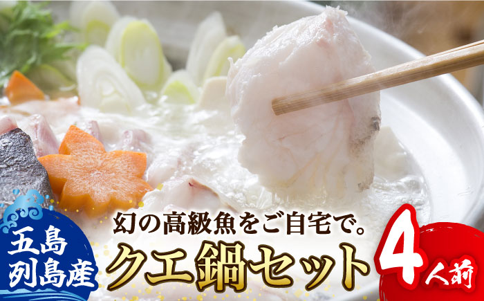 【12/18入金分まで年内発送】【さむ～い日に温まる絶品クエ鍋！】 クエ 鍋セット 4人前 鮮魚 魚介類 【豊建設株式会社】 [RAE004]
