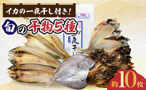 【ごはんのおかずにも、晩酌のお供にも！】 アオリイカ（水イカ）の一夜干しと 旬の干物 5種 セット 約10枚 鮮魚 魚介類 【有川町漁業協同組合】 [RAH001]