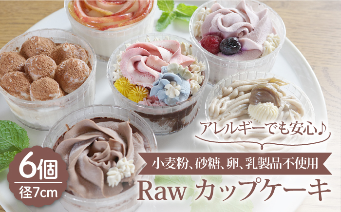【小麦粉、砂糖、卵、乳製品不使用！】Raw カップケーキ 6個 お菓子 ケーキ 【holoholo】 [RAZ004]