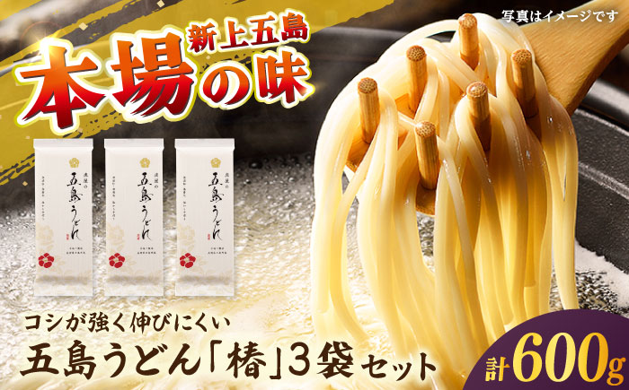 【五島うどん】 五島うどん「椿」 200g×3束セット 【虎屋】 [RBA078]