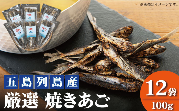 【五島列島産】 厳選 焼きあご 100g×12袋 調味料 だし 【新魚目町漁業協同組合】 [RBC004]
