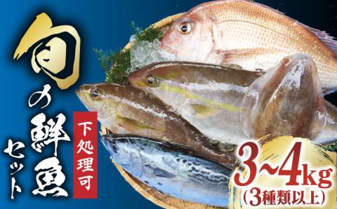 【下処理可】 五島列島産 旬の鮮魚 セット 3種類以上（3～4kg） 魚介類 鮮魚 【有川町漁業協同組合】 [RBH002]