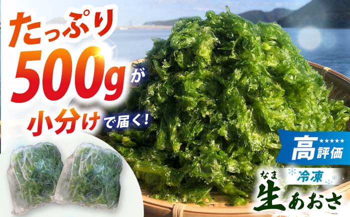 【五島列島よりお届け】冷凍 生あおさ 50g×10袋 計500g 魚介類 鮮魚 あおさ 【上五島町漁業協同組合】 [RBN007]