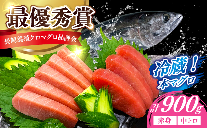 【長崎県養殖クロマグロ品評会最優秀賞！】 五島列島産 養殖 生 本マグロ 赤身 中トロ 冷蔵 計約900g マグロ まぐろ 鮪 刺身 ブロック 冷蔵 【上五島町漁業協同組合】 [RBN013]