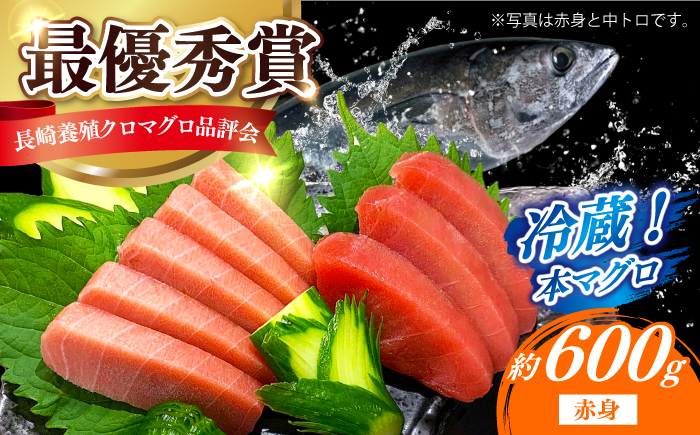 【長崎県養殖クロマグロ品評会最優秀賞！】 五島列島産 養殖 生 本マグロ 赤身 計約600g マグロ まぐろ 鮪 刺身 ブロック 冷蔵 【上五島町漁業協同組合】 [RBN015]
