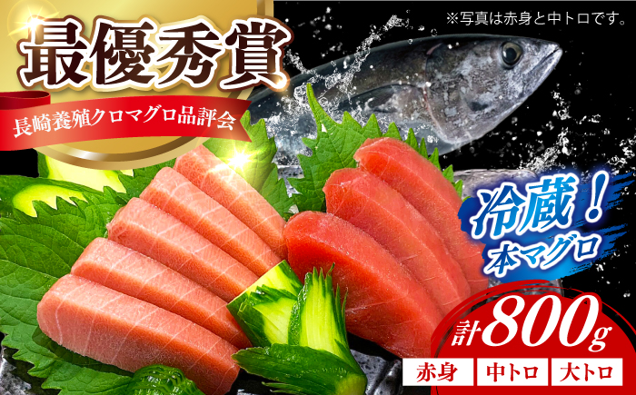 【長崎県養殖クロマグロ品評会最優秀賞！】 五島列島産養殖 生 本マグロ 赤身 中トロ 大トロ 計約800g マグロ まぐろ 鮪 刺身 ブロック 冷蔵 【上五島町漁業協同組合】 [RBN017]