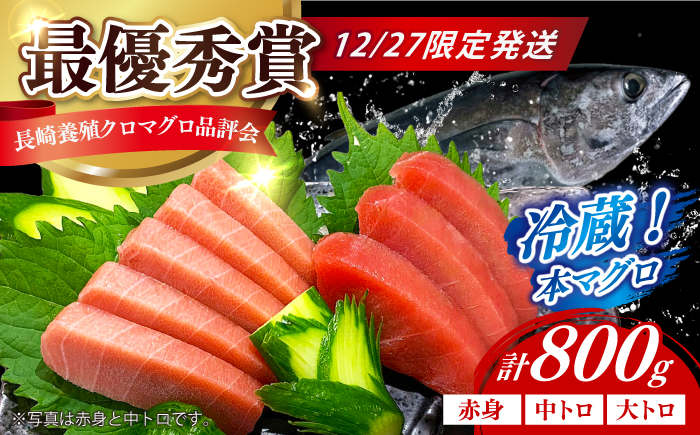 【12/27発送！】【長崎県養殖クロマグロ品評会最優秀賞！】 五島列島産養殖 生 本マグロ 赤身 中トロ 大トロ 計約800g マグロ まぐろ 鮪 刺身 ブロック 冷蔵 【上五島町漁業協同組合】 [RBN022]