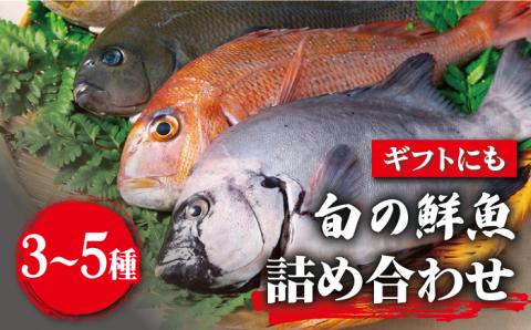 【朝どれ鮮魚をお届け！】 旬の鮮魚 詰め合わせ セット 3～5種類【松園水産】 [RBO011]