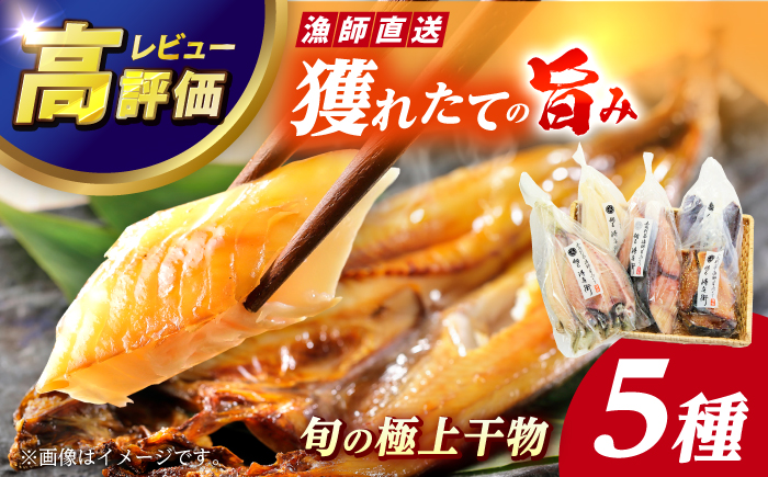 【旨味をぎゅっと凝縮！】旬の魚 干物 5種 詰め合わせ【松園水産】 [RBO012]