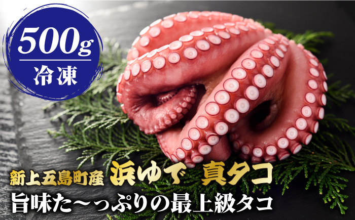 【旨味た～っぷりの最上級タコ】 五島 浜茹で 真タコ 冷凍 500g 魚介類 鮮魚 【カミティバリュー】 [RBP017]