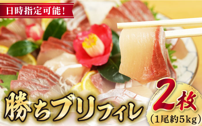 【2024年1月・2月・3月配送】【着日指定必須】  養殖 勝ち ブリ フィレ 2枚（1尾5kg程度の3枚おろし）【カミティバリュー】 [RBP086]