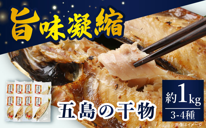 【五島列島の海の幸をお届け】干物セット 約1kg 3～4種 魚介類 【有福水産】 [RBV002]