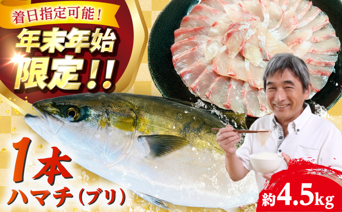 【五島列島直送】 養殖はまち 一本もの（約4.5kg）【有福水産】 [RBV008]