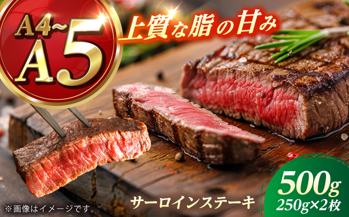長崎和牛 サーロイン ステーキ 250g×2 【KRAZY MEAT】 A5 A4 冷凍 和牛 肉 牛肉 BBQ [RCQ003]