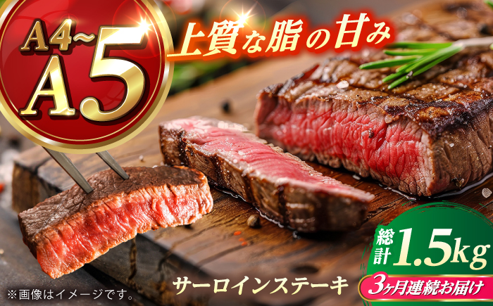 【全3回定期便】 長崎和牛 サーロイン ステーキ 250g×2 【KRAZY MEAT】 A5 A4 冷凍 和牛 肉 牛肉 BBQ [RCQ011]