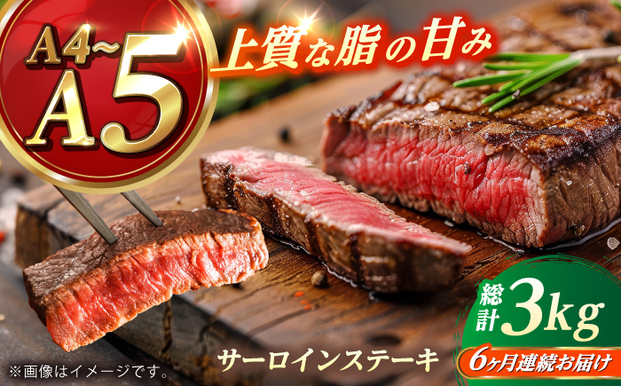 【全6回定期便】 長崎和牛 サーロイン ステーキ 250g×2 【KRAZY MEAT】 A5 A4 冷凍 和牛 肉 牛肉 BBQ [RCQ012]