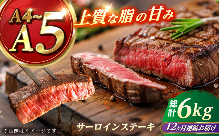 【全12回定期便】 長崎和牛 サーロイン ステーキ 250g×2 【KRAZY MEAT】 A5 A4 冷凍 和牛 肉 牛肉 BBQ [RCQ013]