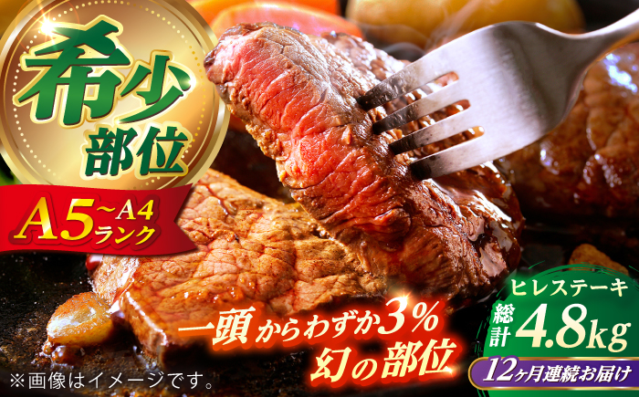 【全12回定期便】 長崎和牛 ヒレ ステーキ 200g×2 【KRAZY MEAT】 A5 A4 冷凍 和牛 肉 牛肉 BBQ [RCQ016]
