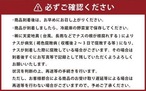 木山さん家の万能ナス 3kg なす ナス 野菜