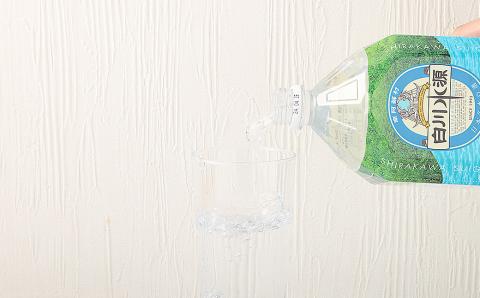 日本名水百選 ミネラルウォーター 「南阿蘇・白川水源」 2L × 6本入り 2ケース 24L 水 飲料水 天然水