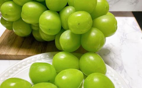 【2023年8月下旬発送開始】熊本県産 シャインマスカット 2房 約1.2kg前後 マスカット フルーツ 果物