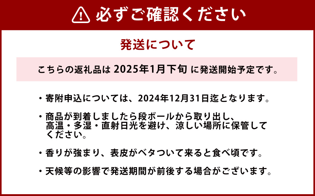 ぽめろまん 大玉 6個入り 【2025年1月下旬発送開始】
