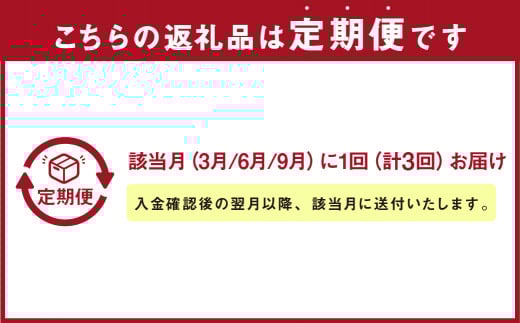 【年3回定期便】にんにくたっぷり 伝説の塩ぎょうざ 100個×3回 合計300個 餃子 ぎょうざ 惣菜 お惣菜 中華