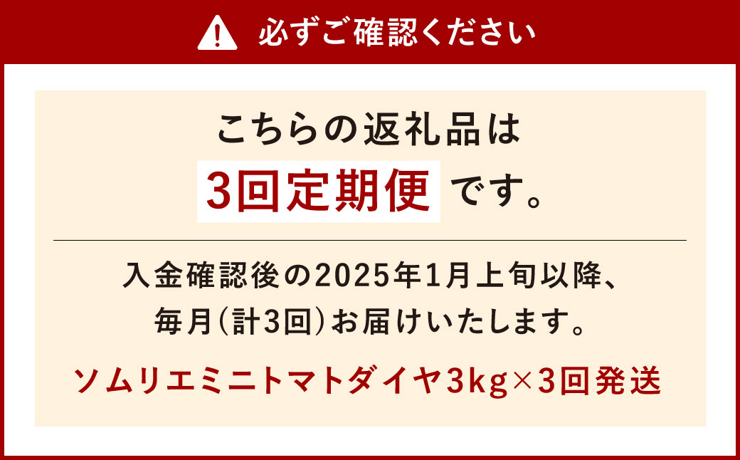 【年3回定期便/2025年1月発送開始】 ソムリエ ミニ トマト ダイヤ 3kg×3回 合計9kg とまと トマト 野菜 やさい 熊本県産 国産