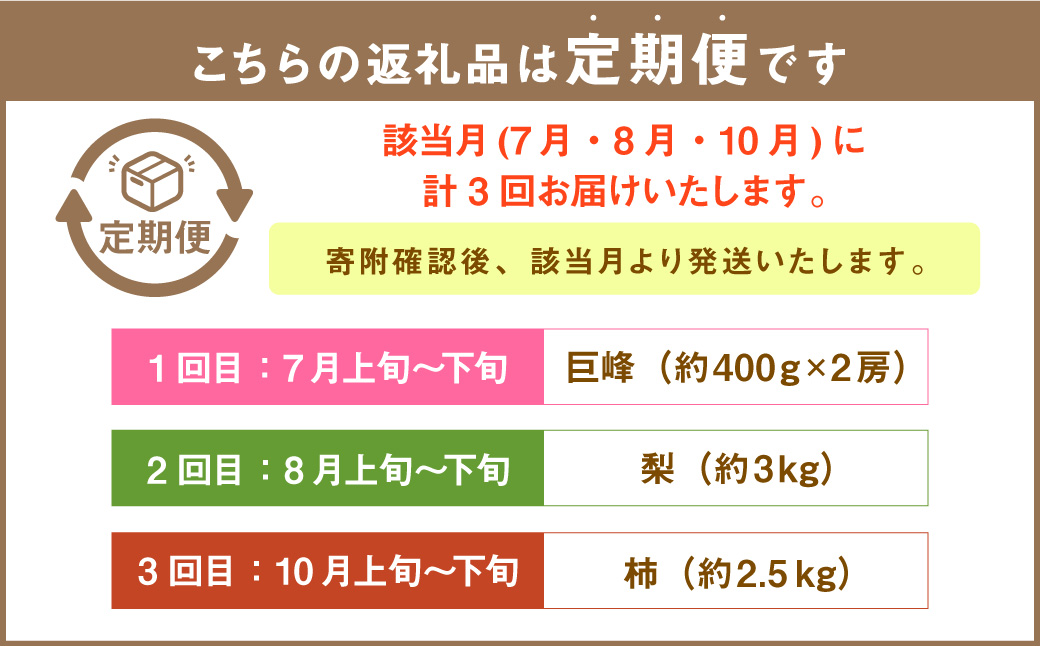 【年3回定期便】【2024年7月上旬発送開始】 くまもと 夏秋 フルーツ 定期便 ( 巨峰 ・ 梨 ・ 柿 )  ナシ かき 葡萄 ぶどう くだもの 果物