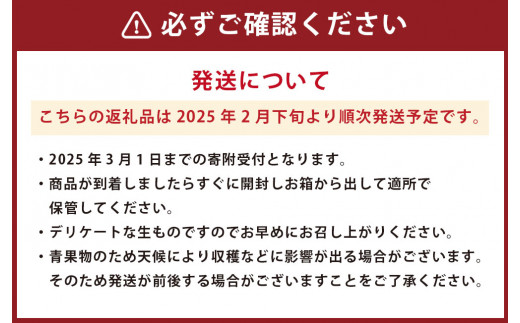 熊本県産 高級 白苺淡雪 （白いちご）約500g 苺 いちご イチゴ 果物 くだもの フルーツ【2025年2月下旬発送開始】