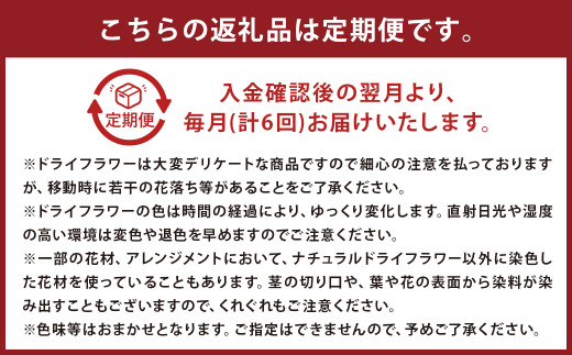 【6ヶ月定期便】ドライフラワーリース Mサイズ