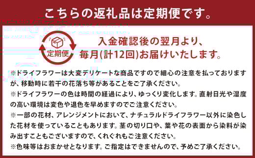 【12ヶ月定期便】ドライフラワーリース Mサイズ