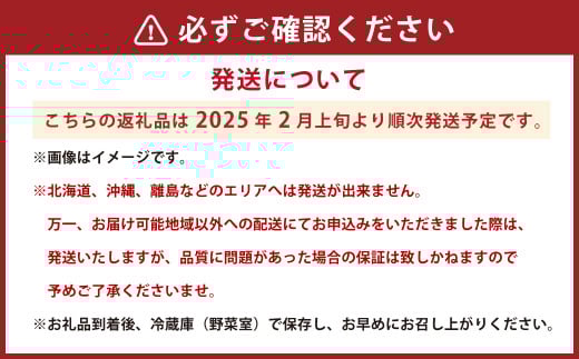 熊本県産 さがほのか 約2kg いちご 苺 イチゴ 【2025年2月上旬発送開始】