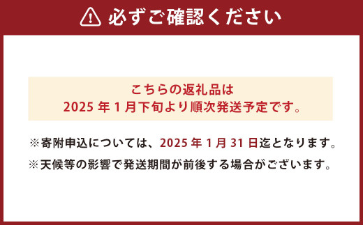 わくわくするおれんじセット 5～6種類のみかんセット 約6kg 柑橘 みかん 蜜柑 【2025年1月下旬発送開始】