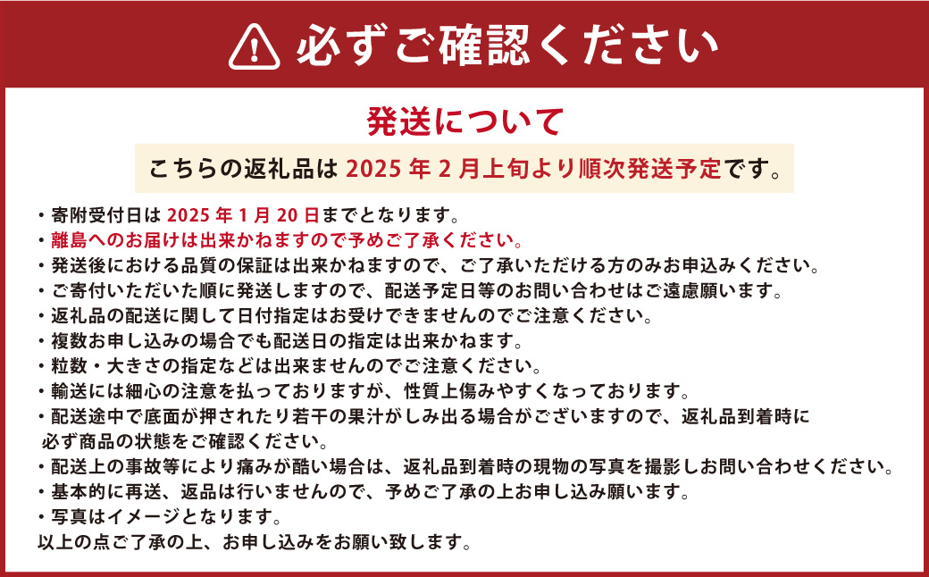 ゆうべに ( いちご ) 250g × 4パック 合計 1kg【2025年2月上旬発送開始】