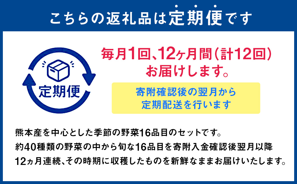 【12か月連続定期便】熊本季節の野菜セット 16品目 ｜ やさい 野菜 季節 旬 新鮮 定期便 熊本県 国産