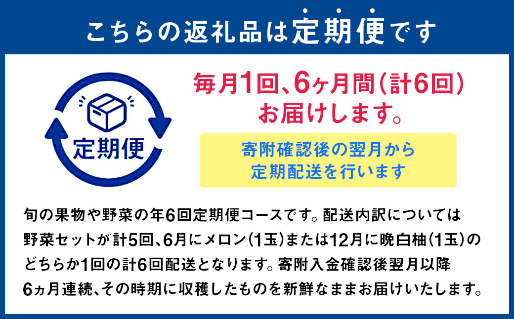 【6か月連続定期便】季節の果物と野菜セット 16品目