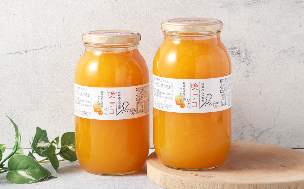 阿蘇 木之内農園 の 晩・デコジャム 1kg × 2本入 合計2kg