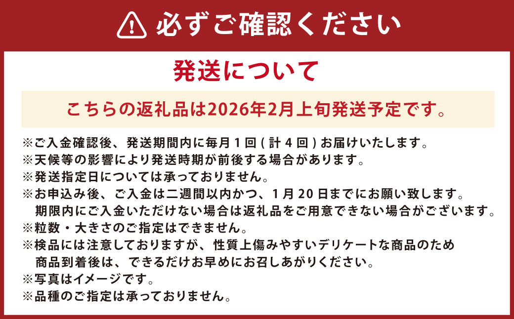 【年4回定期便】熊本の魅力たっぷり、特別な定期便 熊本県産 ミニトマト 約3kg イチゴ 250g×2パック 約500ｇ 大玉トマト 約3.5㎏ メロン 2玉【2026年2月上旬発送開始】4種 フルーツ くだもの 果物 やさい 野菜