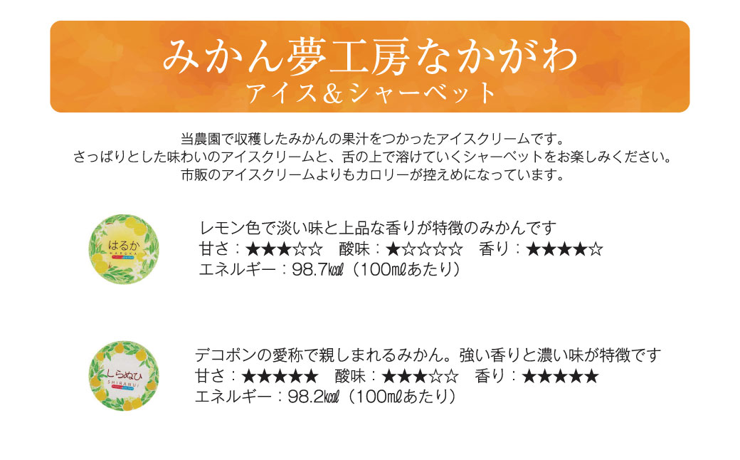 熊本県産柑橘で作ったアイス＆シャーベット5種セット（全10個） スイーツ デザート アイス アイスクリーム シャーベット 弓削瓢柑 ひょう柑 スイートスプリング はるか 不知火 河内晩柑 蜜柑 ミカン 贈り物 ギフト 贈答 お中元 お歳暮