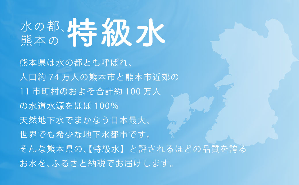 熊本 の おいしい お水 阿蘇山 天然水 500ml × 48本 （ 2ケース ） 水 特級水 飲料 飲み物 ドリンク ミネラルウォーター ケース 天然 九州 熊本県 阿蘇