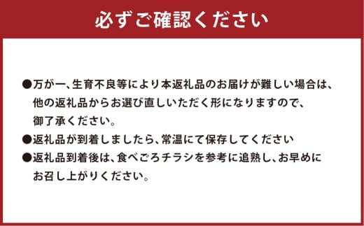 赤玉レノンスター 2玉【2026年5月下旬発送開始】 メロン フルーツ くだもの 果物 熊本県産 国産