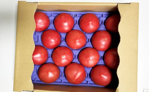 麗妃トマト（栽培自慢） 約2kg 【2025年12月上旬発送開始】 野菜 やさい とまと トマト 熊本県産 国産