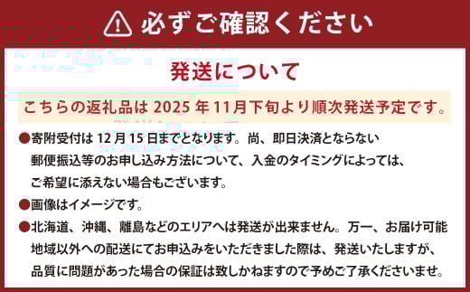 熊本県産 持丸ミカン 約3キロ 【2025年11月下旬発送開始】 蜜柑 みかん ミカン 柑橘 フルーツ くだもの 果物 国産