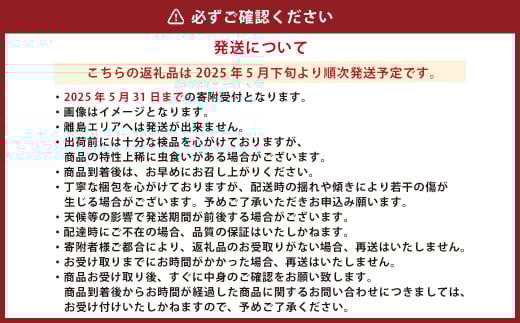 熊本県産 スイートコーン 4～5本 と フルーツトマト 約1kg 【2025年5月下旬発送開始】 野菜 やさい トウモロコシ とうもろこし コーン とまと トマト 国産
