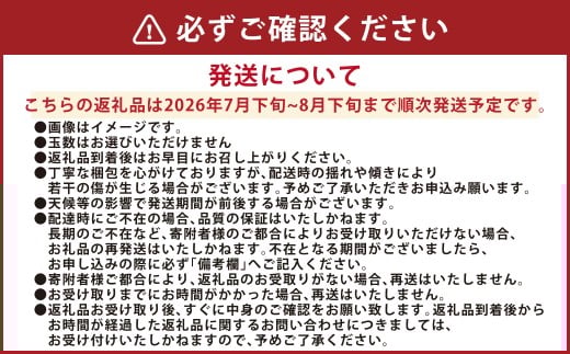 吉野梨 幸水 約5kg 【2026年7月下旬発送開始】 なし ナシ 梨 幸水梨 果物 くだもの フルーツ 熊本県産