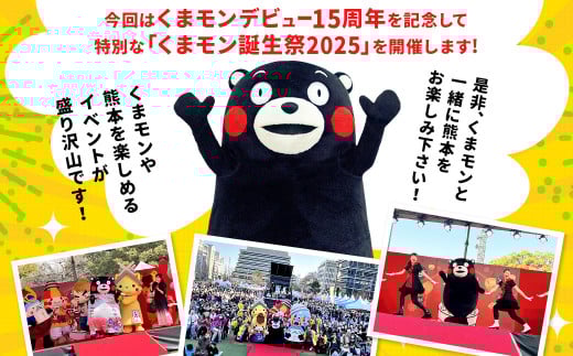 【2025年3月15日（土）午後の部】デビュー15周年記念！！「くまモン誕生祭2025」 ペア 観覧 チケット 券 イベント くまもん くまモン ゆるキャラ 熊本県
