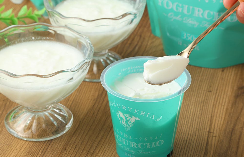 ふるさと納税 オオヤブデイリーファーム くまもと半熟よーぐるちょ 350g×5個×7回 セット ／ ヨーグルト 乳製品 デザー.. 熊本県合志市 ふるさと納税オオヤブデイリーファーム くまもと半熟よーぐるちょ